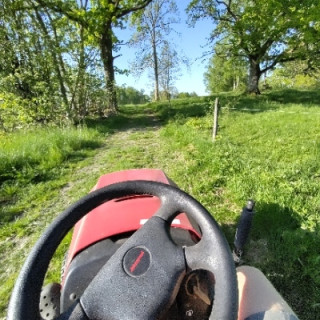 ᛋᛁᚵᛁᛋᛘᚢᚾᛑ ᚾᛁᚾᛃᛅ