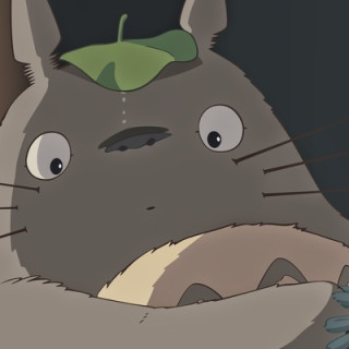 Totoro🍊🍃