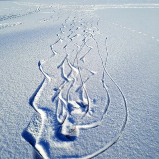 Anja Wachsmuth  🇺🇦 🇮🇱