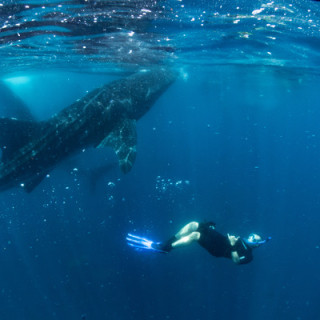 briangweberphotography