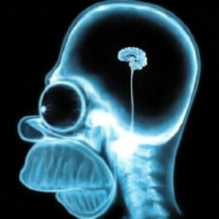 Lino, Lycra e Ciniglia