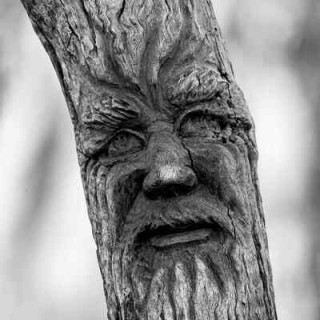 by_no_means_a_photographer