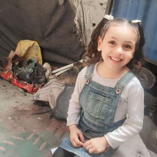 Amir Gaza 🍉🇵🇸