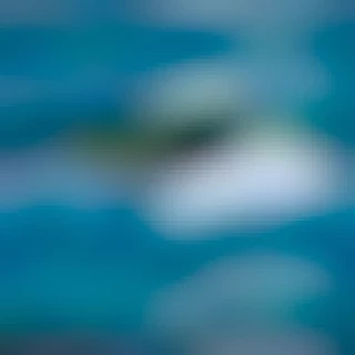 hawaiianeye797 (Craig F)
