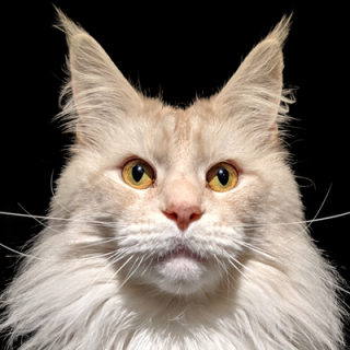 Andrew Hall 🇨🇦