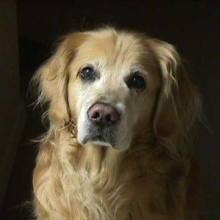 Edge 🇨🇦🇲🇽🇺🇦🏳️‍🌈