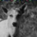 🧦🍲 natalie 🌧️🌱