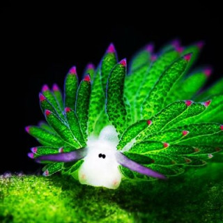 Weird & beautiful nature