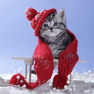 Michael Barthel / MiBaWi