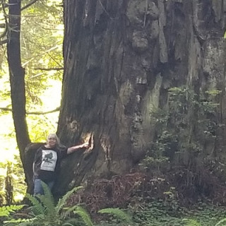 C. R. Collins 🌳 🐸