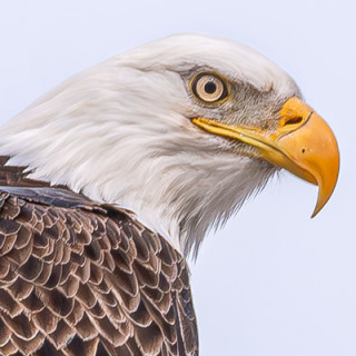 🦅RichKeller Photography🏳️‍🌈