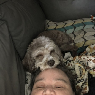 Queen of the Turkeys