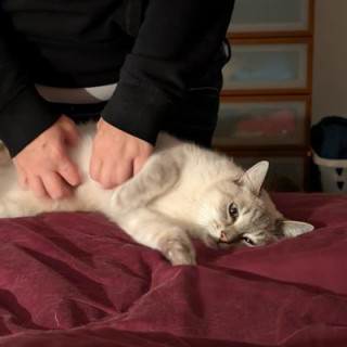 Augier (fr & en) 🇵🇸🇺🇦☭🏴