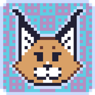 some cat