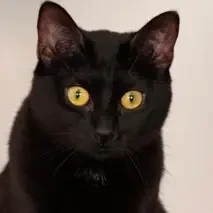 Emma needs ☕️ and paying work