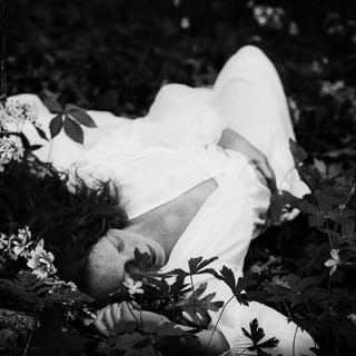Andrea Borden, Photographer