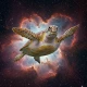 CosmicTurtle0 [he/him]