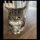 no_name_dev_from_hell