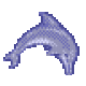 Ecco the dolphin