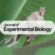Journal of Exp Biol