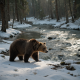Slackbear