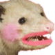 Dirt_Possum [she/her, undecided]