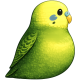 Budgegeria 🦜