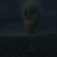 TheCornCollector