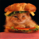 SubgeniUS [none/use any]