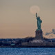 NYSloth