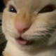 quantumvoid0