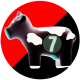 todoslocos