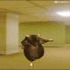 ratrace