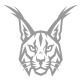Caracal OS