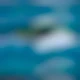 hawaiianeye797 (Craig F)