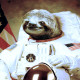 astronaut_sloth