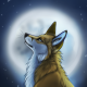 Jasper Fox