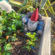 Garden Punk