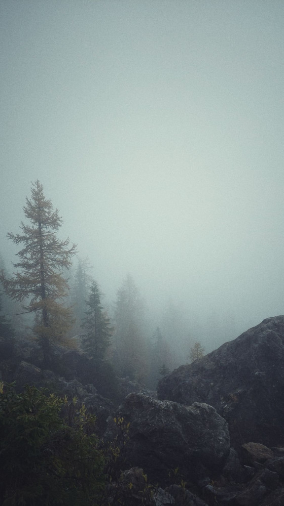 A forest on the left, a huge rock on the right. Fog.