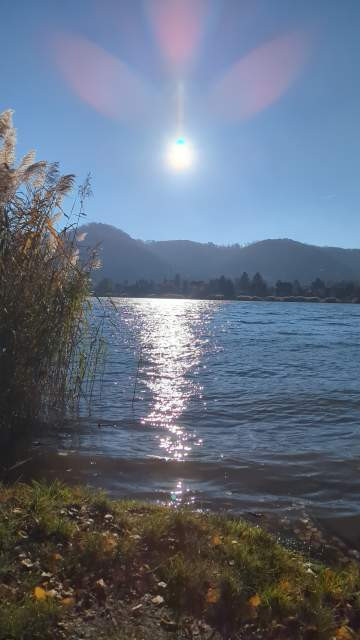Klarer Blauer Himmel, blaues Wasser, ein bläulicher, bewaldeter Berg im Hintergrund, links im Bild Schilf und die Reflexion der Sonne im klaren Wasser