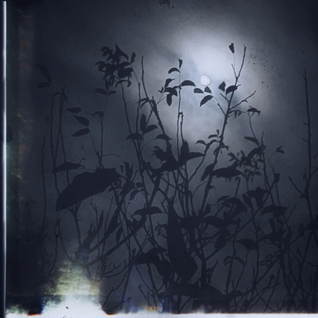 Moon in a cloudy halo. Branches in front. Old photo effect.