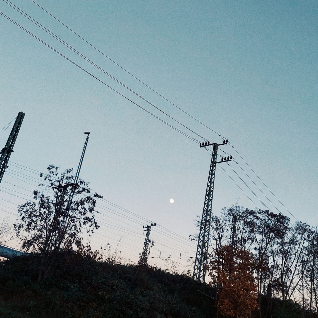 Power lines above trees, moon in between. Some smaller trees below.