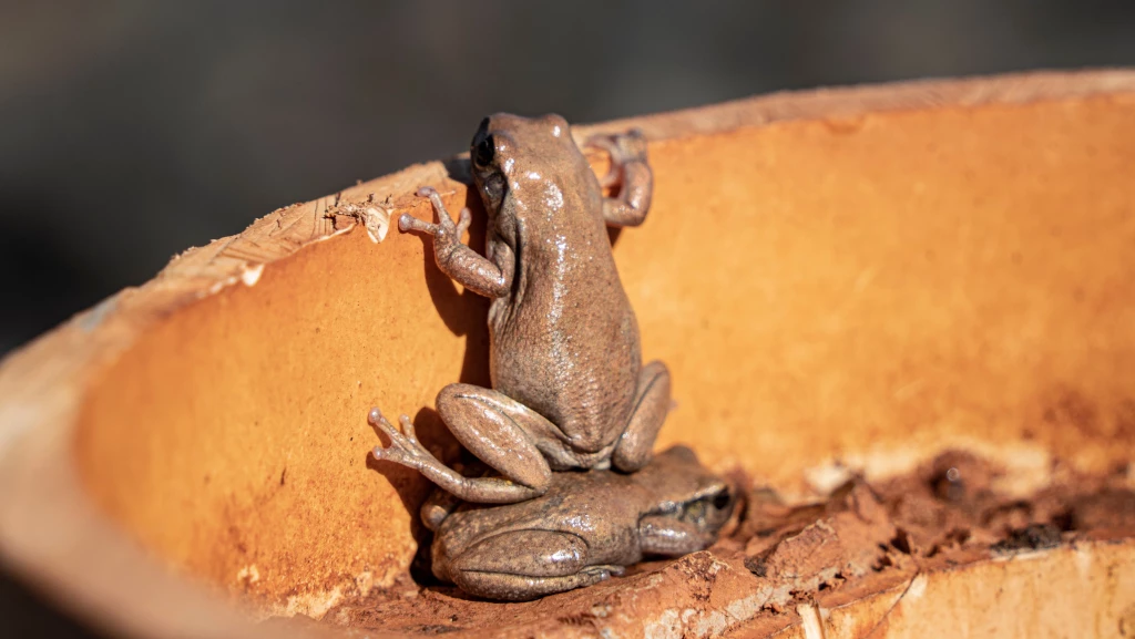 Andrew Moritmer TheShouldersofGiants