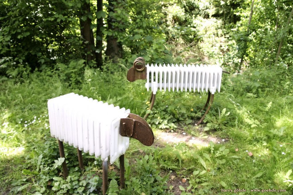 Schafe Rheinberg