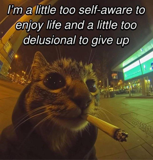 meme about hard times