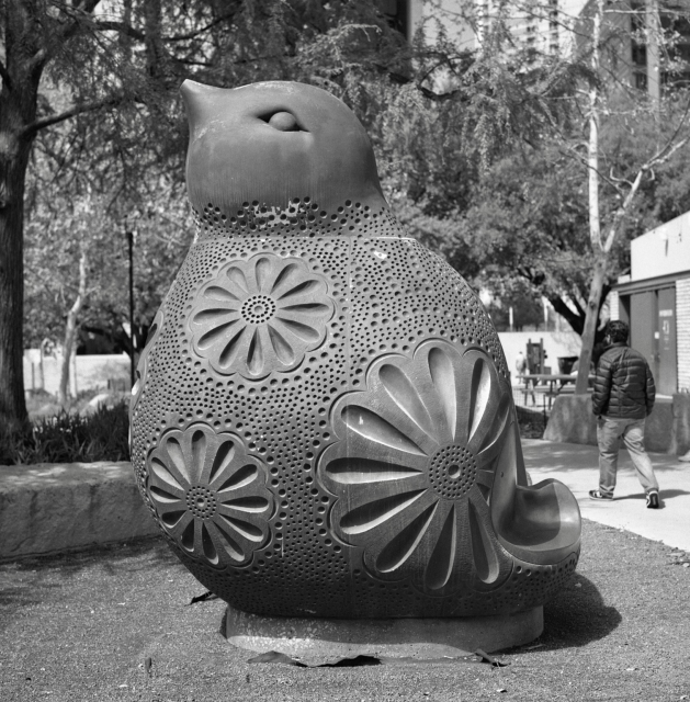 A black and white film photo. A large, intricately carved stone bird by local artist Holly Young-Kincannon is seen at Republic Square in downtown Austin, Texas. Tuesday, March 19, 2024.