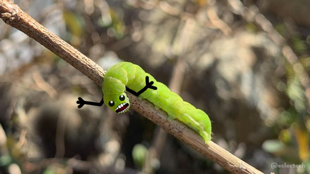 A photo of a bright green caterpillar on a narrow tree branch that runs diagonally across the image. Its head is curled round in front of the branch. I have drawn on a face that looks a little exasperated with me, and some upturned arms. 