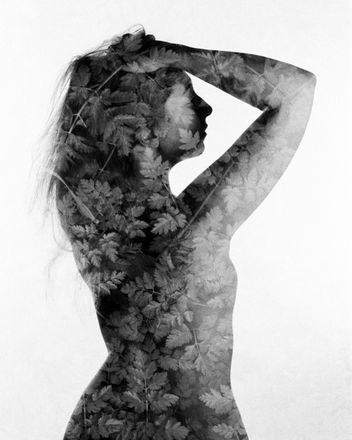 A naked woman is photographed from the back. Her right arm is up , touching her hair. Her face is in the shadow of her arm. Her skin is covered in blended leafy texture that looks like chervil. Black and white. 