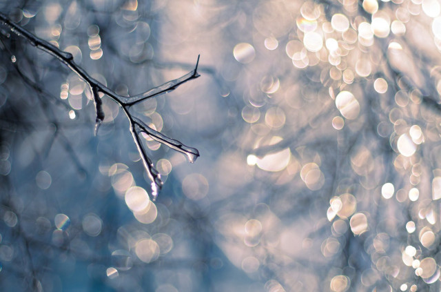 Ice-covered twig in the foreground. Bokeh balls from light refracting through other ice-covered branches in the background. Light in the upper right is more intense, and warm. Background in the lower left is cool and darker.