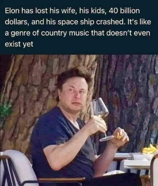 The text reads:

Elon has lost his wife, his kids, 40 billion dollars, and his space ship crashed. It's like a genre of country music that doesn't even exist yet

Below is a photo of Elon Musk looking disheveled holding a wine glass while sitting at a table and turning around to look behind him with an angry look on his face